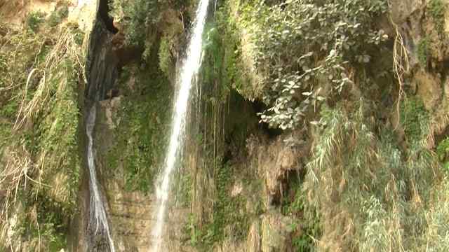 Thumbnail for Ein Gedi