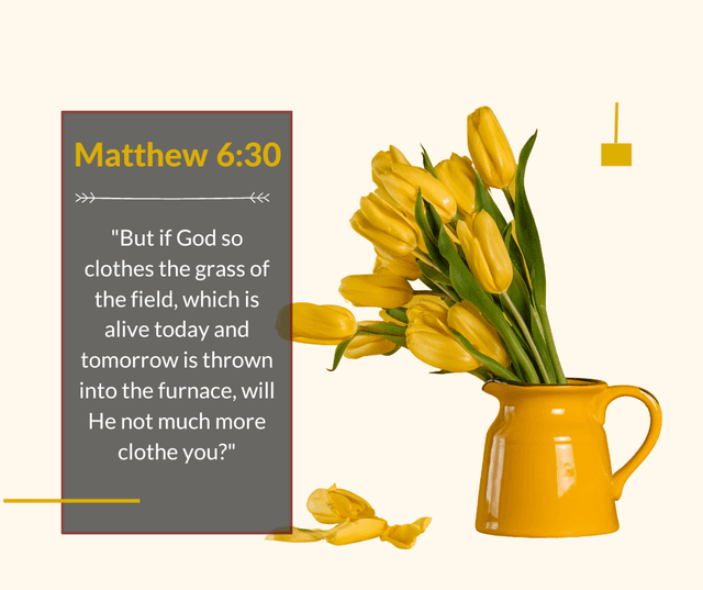 matthew-6-25-32-meaning-thebiblesays