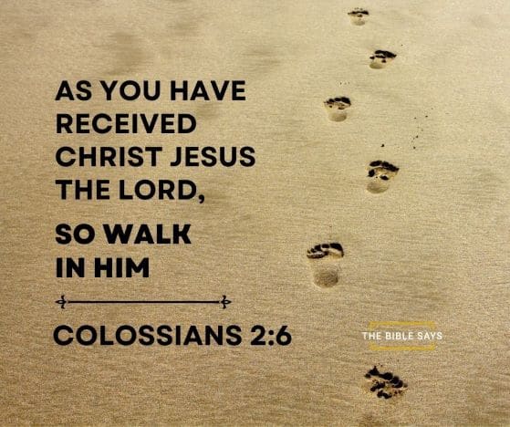 Colossians 2:6-8 meaning | TheBibleSays.com